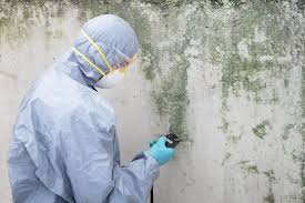 Mold Odor Removal Services in Lake Charles, LA